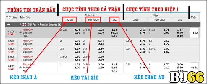 Cách Đọc Kèo Châu Á BJ66 Dễ Hiểu